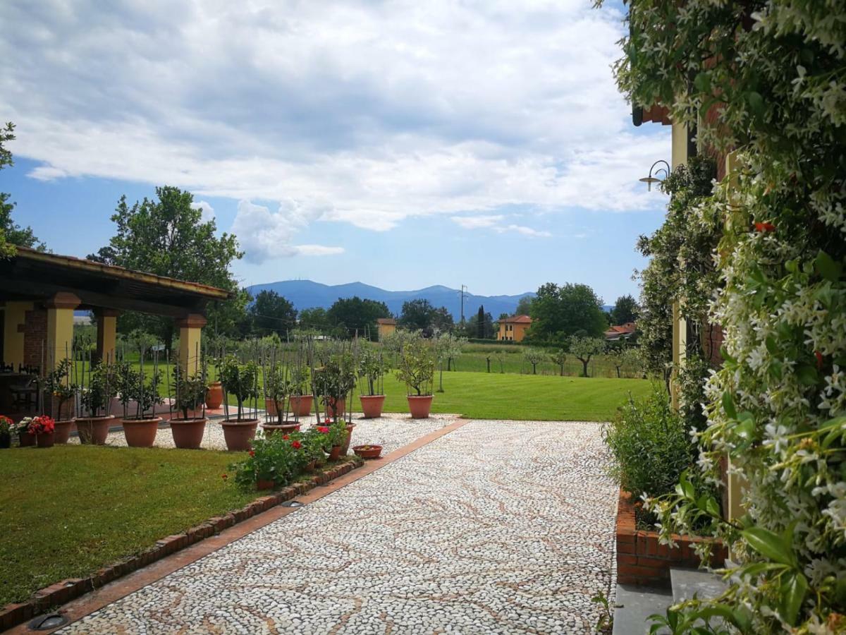 B&B La Fornace Del Sole Capannori Exteriér fotografie